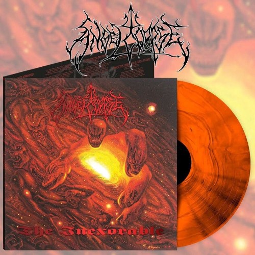 ANGELCORPSE - THE INEXORABLE, HAMMER OF GODS and EXTERMINATE COLORED VINYL - Image 2