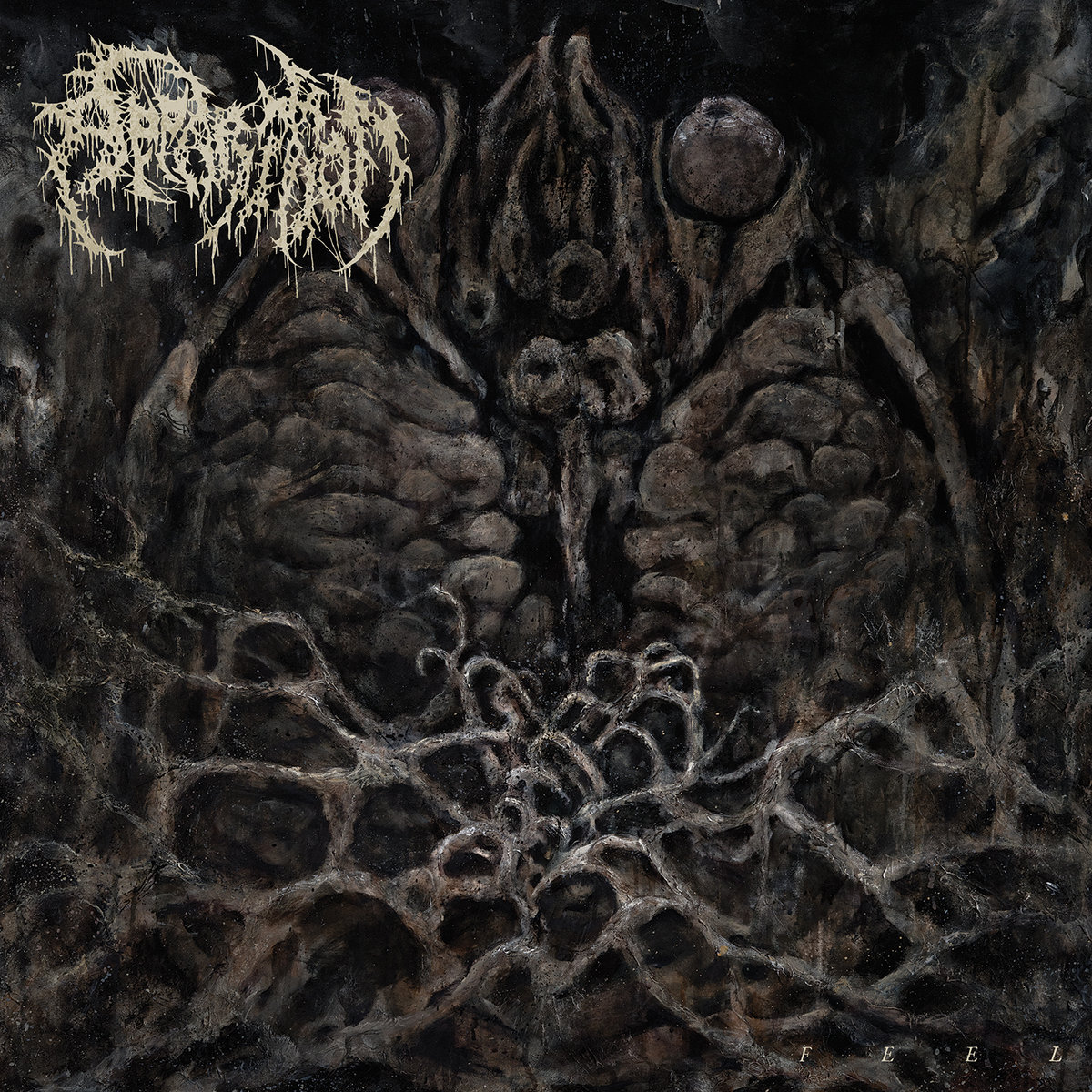 apparition-feel-vinyl-preorder